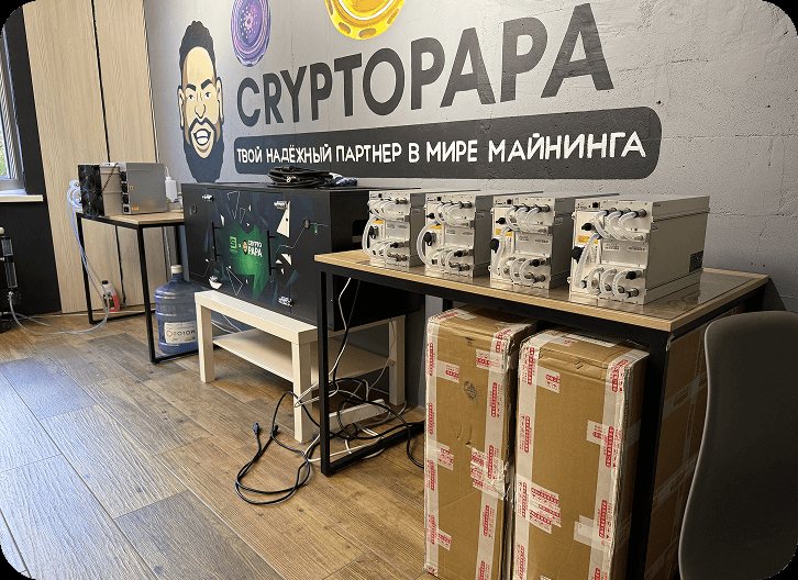 Офис CRYPTOPAPA: стол с асиками